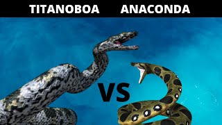 Titanoboa VS Anaconda in English Which one would win in a fight [upl. by Delwin741]