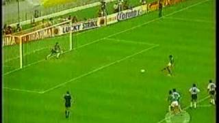 MEXICO VS ARGENTINA FINAL COPA AMERICA 1993 [upl. by Ynomrah]