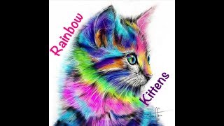 Fun Bedtime Story For Kids  Vayas Rainbow Kittens Find Joaquin [upl. by Eanrahc187]