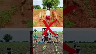 పెండిమిథాలిన్ మందు ఎలా పనిచేస్తుంది herbicides gaddi gaddimandulu kalupu prevention crops [upl. by Helena]