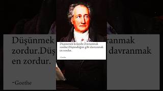 Goethe Düşünmek ve davranmakfelsefe [upl. by Merrick]