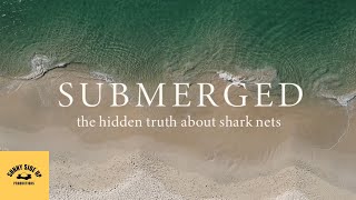 Submerged The Hidden Truth About Shark Nets [upl. by Ynaffets]