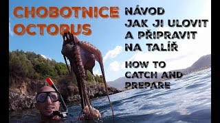 Chobotnice jak ji ulovit a připravit na talíř Octopus how to catch and prepare [upl. by Atiek943]