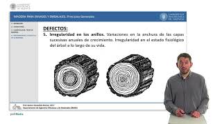 Madera para Envases y Embalajes Principios Generales   UPV [upl. by Nissie]