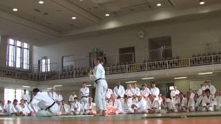 GOSHIN JUTSU KODOKAN 2014 15 CAROLE MATHIEU [upl. by Lechner736]