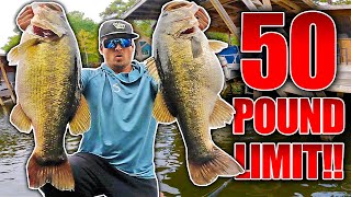 BEST DAY EVER SWIMBAIT FISHING ON YOUTUBE 15 Bass OVER 7 Pounds [upl. by Nomrej]