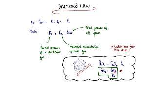 Alveolar Gas Equation  Derivation [upl. by Aerol]