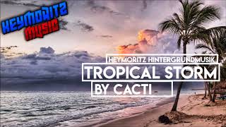 ♫ Tropical Storm Cospe Remix by Cacti ♫✘HeyMoritz Hintergrundmusik✘ [upl. by Nrojb766]