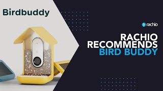 Rachio Recommends Bird Buddy [upl. by Annaitsirk]