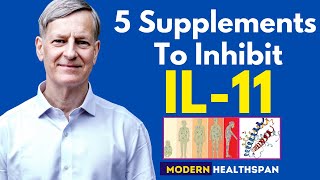 5 Supplements To Inhibit IL11 [upl. by Eelahc]