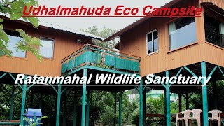 Ratanmahal Wildlife Sanctuary l Shiv Mandir  Bavka l Udhalmahuda Eco Campsite l Kevdi Eco Campsite [upl. by Deering]