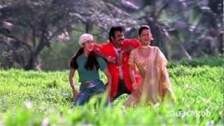 Pavithra Prema movie songs  Goo Gumma Goo song  Balakrishna Laila Roshini [upl. by Adallard]