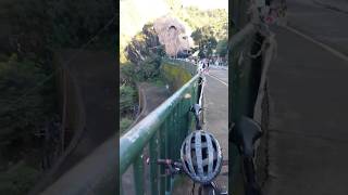 baguiocity mountains nature travel views shortvideo shorts [upl. by Aicekan]