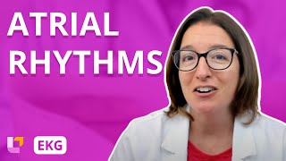 Atrial Rhythms  EKG Interpretation  LevelUpRN [upl. by Krahmer176]