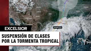 Tormenta tropical Francine Estos estados suspenden clases [upl. by Ennad]