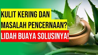 Manfaat Lidah Buaya Khasiat Utama untuk Kulit dan Pencernaan [upl. by Atinuaj]