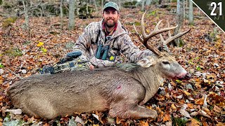 BIG WOODS BUCK with a BOW  Missouri Public Land [upl. by Miarhpe749]