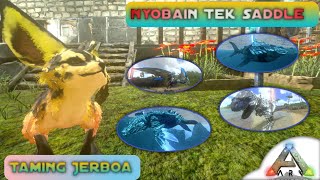 Taming Eerie Jerboa  nyobain Tek saddle Ark Mobile New Journey [upl. by Teik]