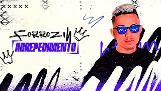 FORROZIN ARREPENDIMENTO  DJ HTZIM FORROZIN INTERNACIONAL [upl. by Akimot320]