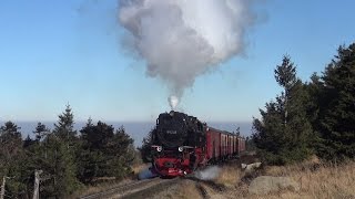 Harzbullen und Brockenfüchse  Volldampf auf dem Brocken HD [upl. by Arita]