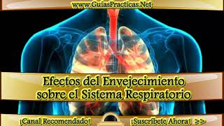 Efectos del envejecimiento sobre el sistema respiratorio [upl. by Hsevahb588]