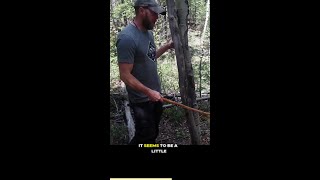 I Mastered Fire Techniques In The Aspen Wilderness [upl. by Wager714]