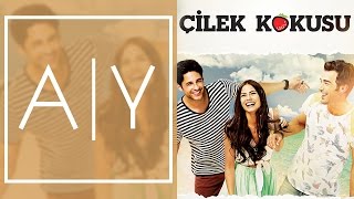 Çilek Kokusu  Alp Yenier  Her Şeyin Ötesinde Official Audio [upl. by Liek]