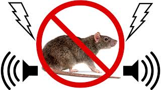 Rats amp Mice Repellent  High Frequency Sound [upl. by Sharos]