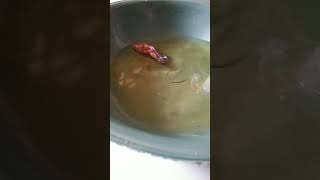 Mengecek sirop ikan cupang [upl. by Alak]