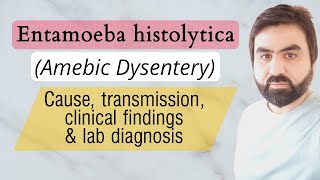 Lec3  Entamoeba histolytica  Transmission  Life cycle  Pathogenesis  Lab diagnosis UrduHindi [upl. by Rolyt]