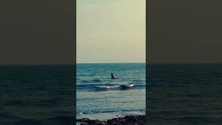 A surfer going into a sea [upl. by Crosby]