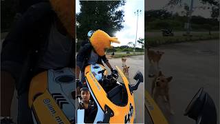 Dog reaction blog 😱😄😄funny motorcyclevlog rider blogdog reactionviral video [upl. by Aiem587]