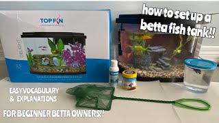 HOW TO SET UP A BETTA FISH TANK  PROPERLY for beginners [upl. by Deery]