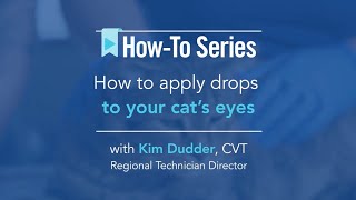 AskVCA  How to apply drops to your cats eyes [upl. by Daveta108]