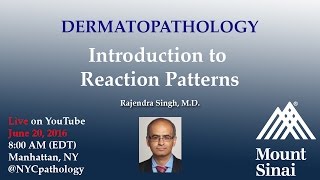 Dermatopathology Introduction to Reaction Patterns w Dr Singh [upl. by Eslek]