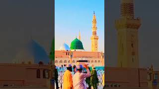 Hafiz Bilal jalali tilawat and Islamic video canals please Hamara canal sabscarib kary [upl. by Acisey966]