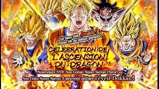 TAUX DOUBLE MON CL INVOCATIONS ASCENSION DU DRAGON DRAGON BALL Z DOKKAN BATTLE [upl. by Idok]