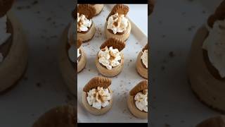 Mini Biscoff Cheesecake  Punchfork recipeshorts nutella lotus [upl. by Malim]