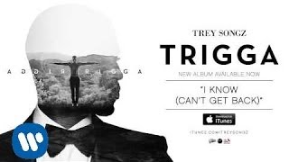 Trey Songz  I Know Cant Get Back Official Audio [upl. by Ahseiuqal]