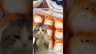 ✨🤭♥️ cuteart chibis viral viralvideos viralreels reels reelsinstagram reelinstagram cute [upl. by Saraiya666]