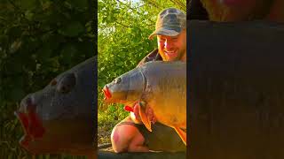 A Linear Fisheries 30lb Mirror Carp carpfishing2024 oxlease fishing [upl. by Trula]