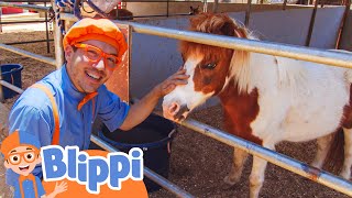 Meet a Pony and Ride Horses  Blippi 🔤 Moonbug Subtitles 🔤  Learning Videos [upl. by Nauwtna660]