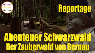 Zauberwald Bernau  Abenteuer Schwarzwald  Ausflugsziele BadenWürttemberg [upl. by Lirbaj]