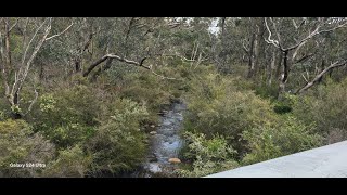 Jarrahdale Forest Trip [upl. by Gamber845]