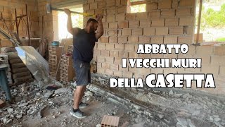 Demolisco i VECCHI MURI della Casetta  Ep 42 [upl. by Rehc]