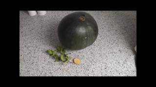 Thermomix QuickTipp Wassermelonen Smoothie  Vegan High Carb [upl. by Rento]