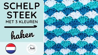 Schelpsteek Haken met 3 Kleuren  Leuke Steek voor een Babydeken haakinformatie haaksteek haken [upl. by Agem]