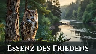 Essenz Des Friedens 🍀 Musik Für Eine Reise Der Entspannung [upl. by Reemas]