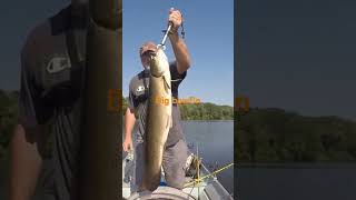 bowfin fishing fish [upl. by Yr]