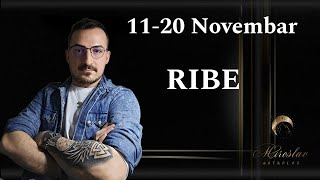 Ribe 11  20 Novembar [upl. by Marlene240]